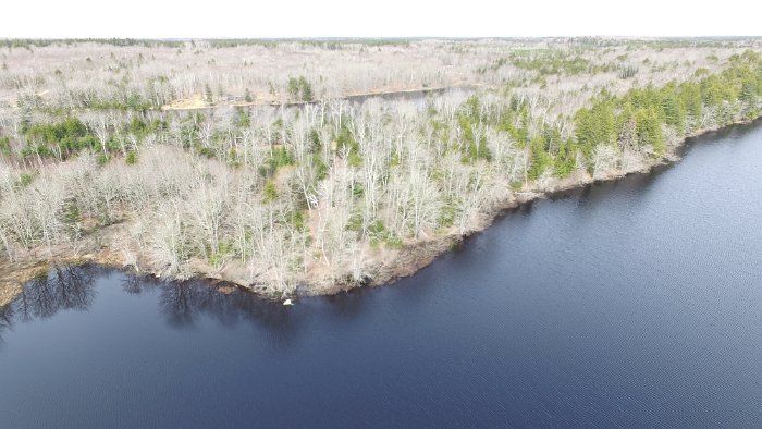 WentworthHalbinsel (43)